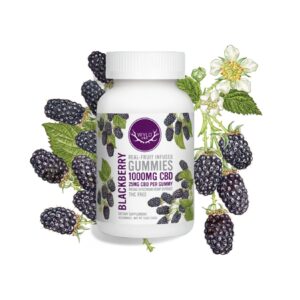 Wyld CBD, Blackberry Gummies, Broad Spectrum THC-Free, 40ct, 1000mg CBD