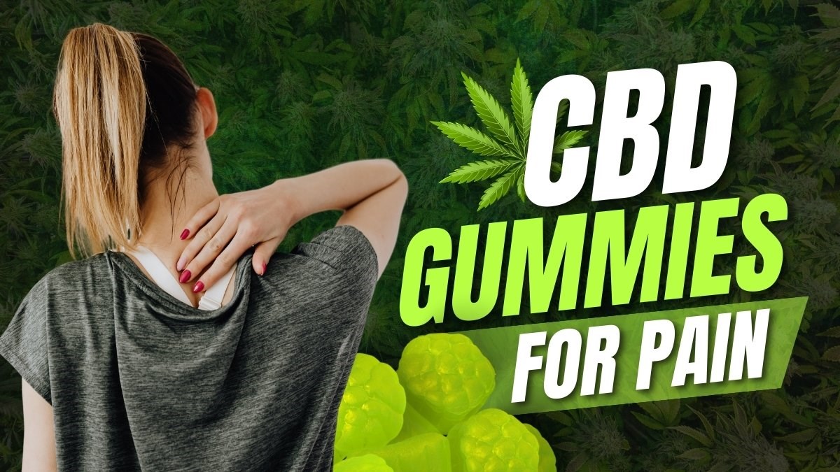 cbd gummies for pain