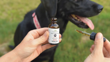 CBD for dogs